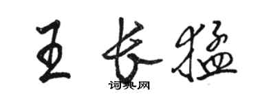 駱恆光王長猛行書個性簽名怎么寫
