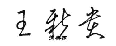 駱恆光王新貴草書個性簽名怎么寫