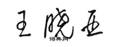 駱恆光王曉亞草書個性簽名怎么寫