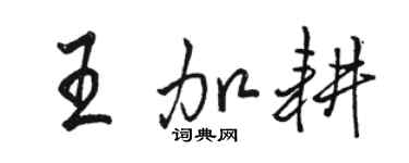 駱恆光王加耕行書個性簽名怎么寫