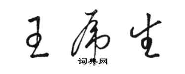 駱恆光王虎生草書個性簽名怎么寫