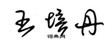 朱錫榮王培丹草書個性簽名怎么寫