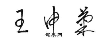 駱恆光王申菊草書個性簽名怎么寫