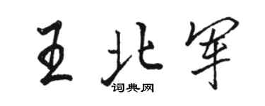 駱恆光王北軍行書個性簽名怎么寫