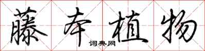 荊霄鵬藤本植物行書怎么寫