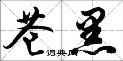 胡問遂蒼黑行書怎么寫