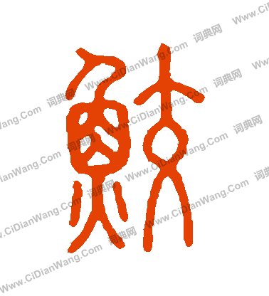 說文解字寫的鮫