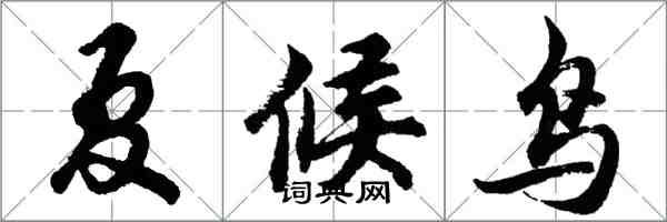 胡問遂夏候鳥行書怎么寫