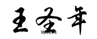 胡問遂王聖年行書個性簽名怎么寫