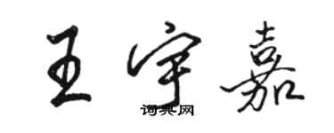 駱恆光王宇嘉行書個性簽名怎么寫