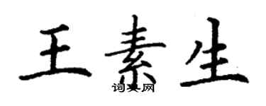丁謙王素生楷書個性簽名怎么寫