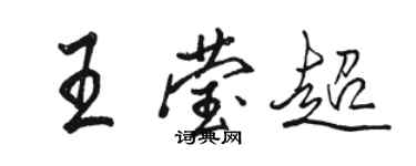 駱恆光王瑩超行書個性簽名怎么寫