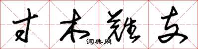 朱錫榮寸木難支草書怎么寫