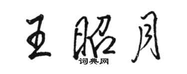 駱恆光王昭月行書個性簽名怎么寫