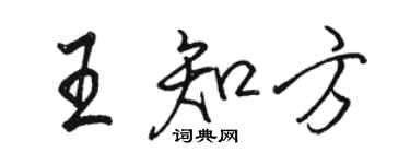 駱恆光王知方行書個性簽名怎么寫