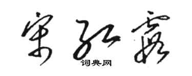 駱恆光宋紅霞草書個性簽名怎么寫