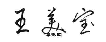 駱恆光王美寶行書個性簽名怎么寫