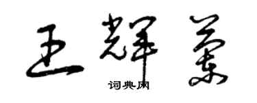 曾慶福王輝蘭草書個性簽名怎么寫