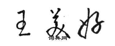 駱恆光王美好草書個性簽名怎么寫