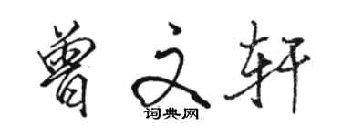 駱恆光曾文軒行書個性簽名怎么寫