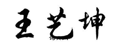 胡問遂王藝坤行書個性簽名怎么寫