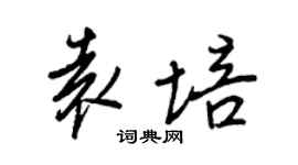 王正良袁培行書個性簽名怎么寫
