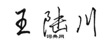 駱恆光王陸川行書個性簽名怎么寫