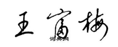 梁錦英王富梅草書個性簽名怎么寫