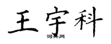 丁謙王宇科楷書個性簽名怎么寫