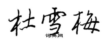 王正良杜雪梅行書個性簽名怎么寫