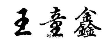 胡問遂王童鑫行書個性簽名怎么寫