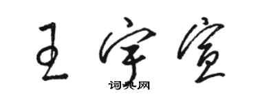 駱恆光王宇宣草書個性簽名怎么寫