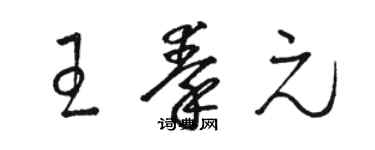 駱恆光王秦元草書個性簽名怎么寫