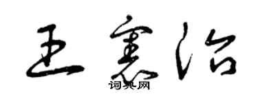 曾慶福王憲治草書個性簽名怎么寫