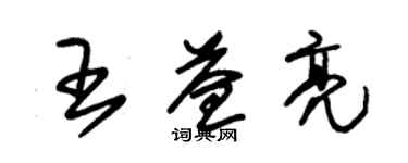 朱錫榮王益亮草書個性簽名怎么寫