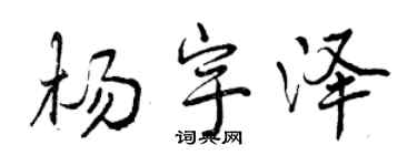 曾慶福楊宇澤行書個性簽名怎么寫