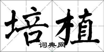 翁闓運培植楷書怎么寫