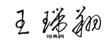 駱恆光王瑞翔草書個性簽名怎么寫