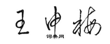 駱恆光王申梅草書個性簽名怎么寫