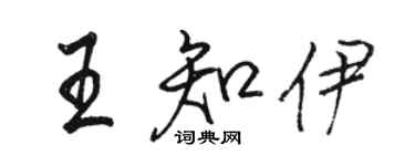 駱恆光王知伊行書個性簽名怎么寫