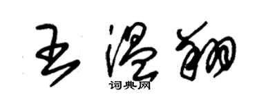 朱錫榮王溫翔草書個性簽名怎么寫