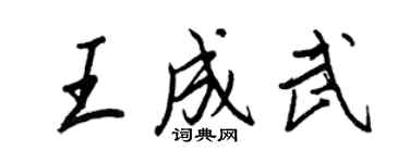 王正良王成武行書個性簽名怎么寫