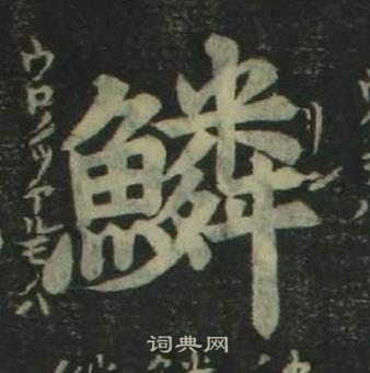 姜立綱四體千字文中鱗的寫法