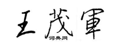 王正良王茂軍行書個性簽名怎么寫