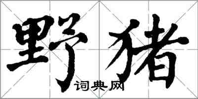 翁闓運野豬楷書怎么寫