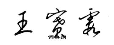 梁錦英王賽霞草書個性簽名怎么寫