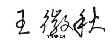 駱恆光王徽秋草書個性簽名怎么寫