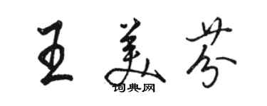 駱恆光王美芬行書個性簽名怎么寫