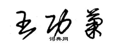 朱錫榮王功菊草書個性簽名怎么寫