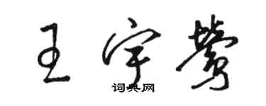 駱恆光王宇鶯草書個性簽名怎么寫